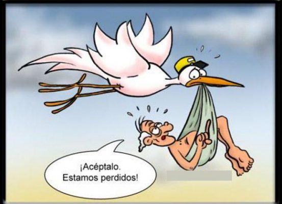 cigüeña despistada