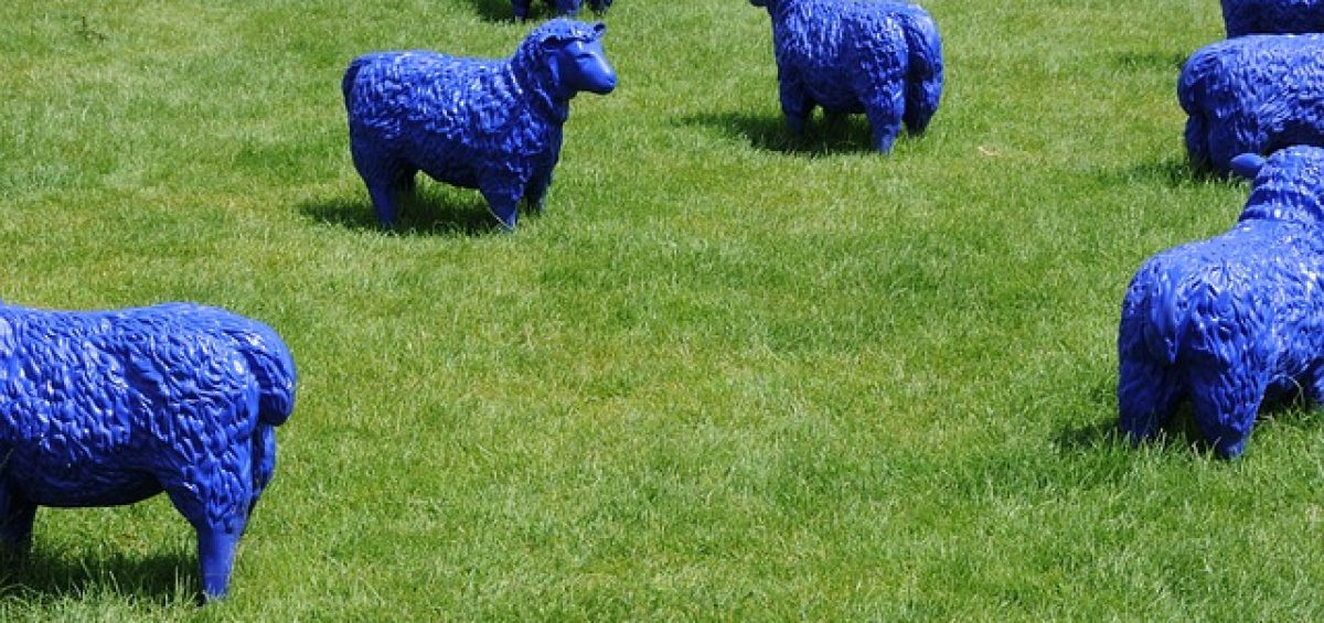 ovejas azules coaching marca personal formacion huelva