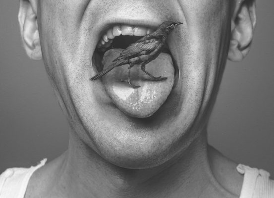 pájaro en lengua