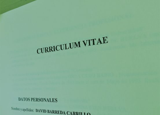 cv david barreda