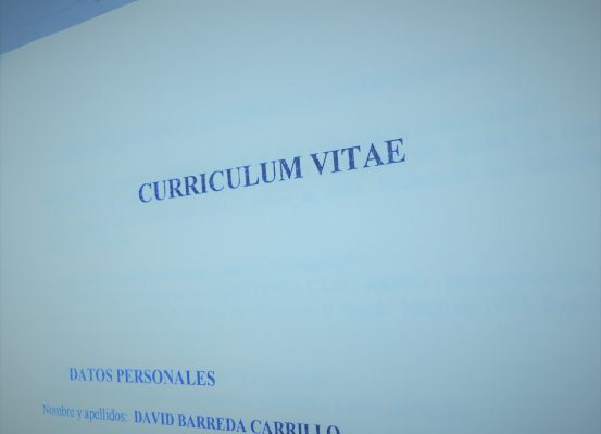 cv david barreda marca personal